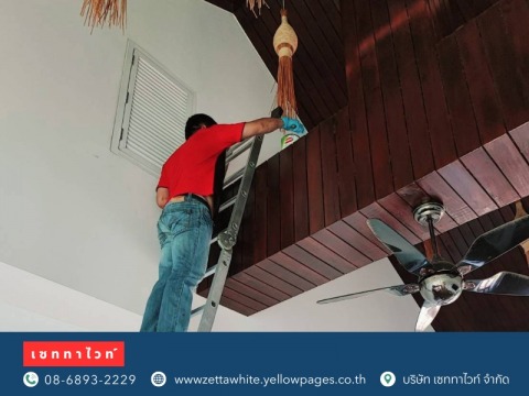 บริการฉีดไล่จิ้งจก บนฝ้าเพดาน ด้วยสมุนไพร